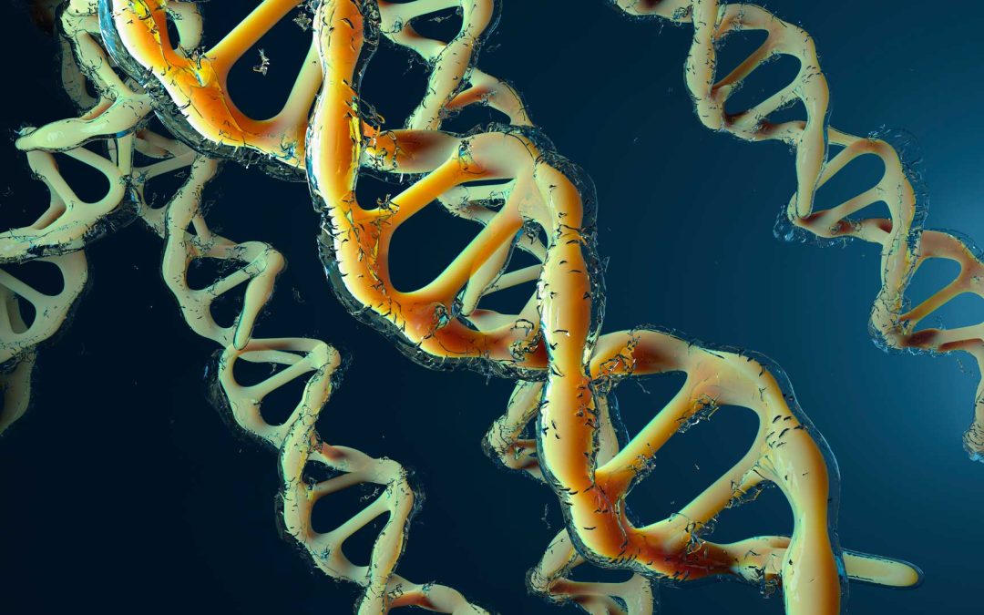 The benefits of 3D animation in healthcare