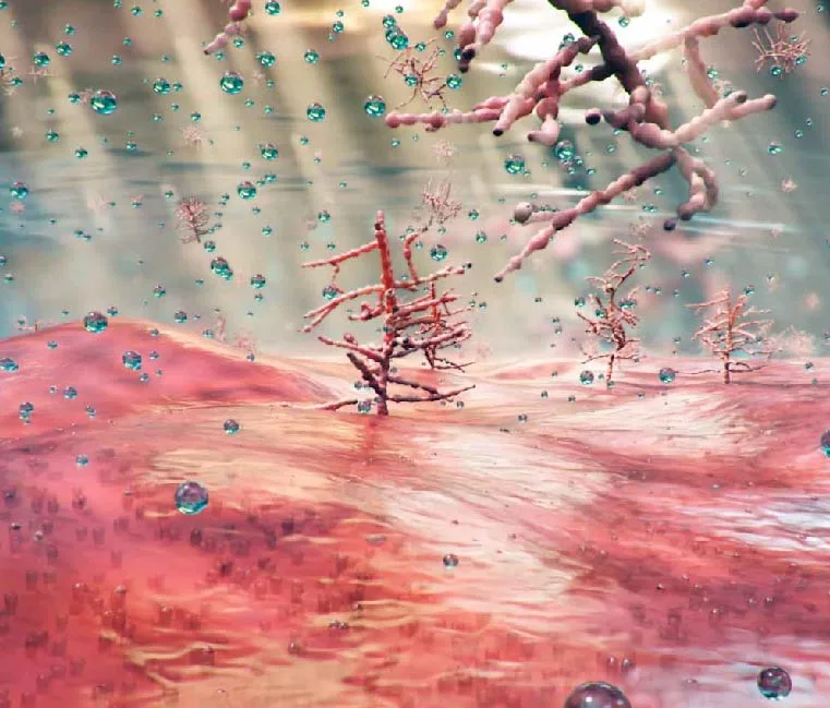3D animations for medicine