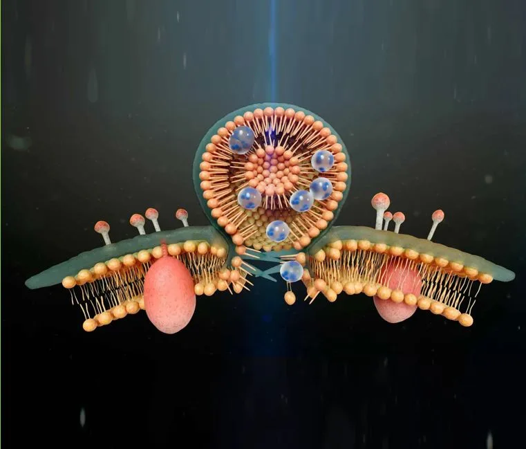 Corsa Osmotic 3D digital twin – interactive pharmaceutical product visualization and demo