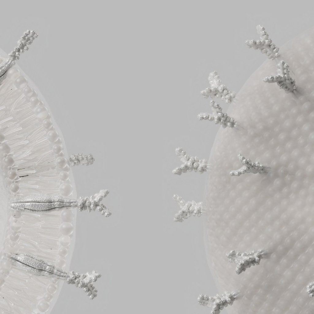 biotech and cellular animation